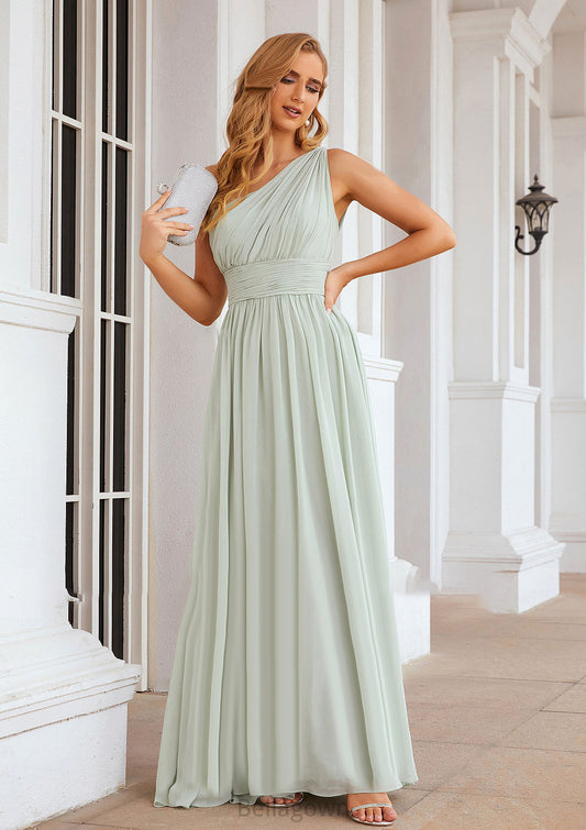 A-line One-Shoulder Sleeveless Chiffon Long/Floor-Length Bridesmaid Dresses With Pleated Aliza DNP0025382