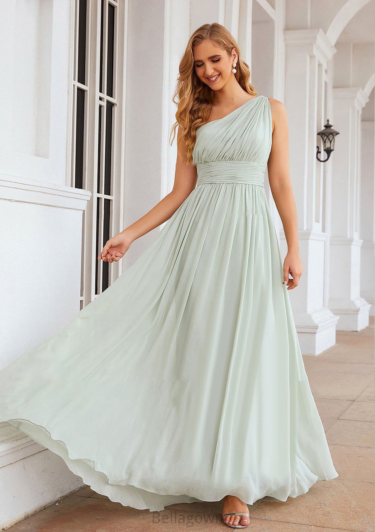 A-line One-Shoulder Sleeveless Chiffon Long/Floor-Length Bridesmaid Dresses With Pleated Aliza DNP0025382